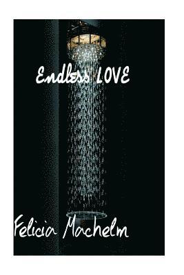 bokomslag endless love: love novel