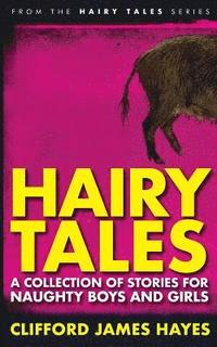 bokomslag Hairy Tales