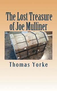 bokomslag The Lost Treasure of Joe Mulliner