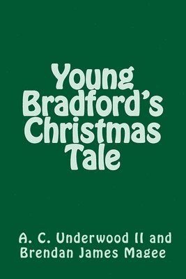 bokomslag Young Bradford's Christmas Tale