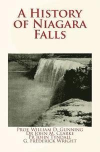 bokomslag A History of Niagara Falls