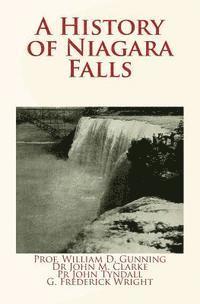 John Tyndall, John M. Clarke - A History of Niagara Falls, Häftad