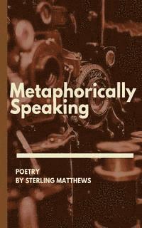 bokomslag Metaphorically Speaking