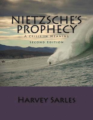 Harvey Sarles - Nietzsche's Prophecy: A Crisis in Meaning, Häftad