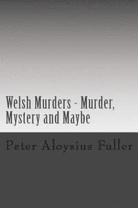 bokomslag Welsh Murders - Murder, Mystery and Maybe