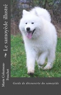 bokomslag Le samoyede illustre: Guide de decouverte du samoyede