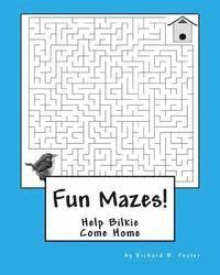 bokomslag Fun Mazes!: Help Bilkie Come Home
