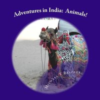 bokomslag Adventures in India: Animals