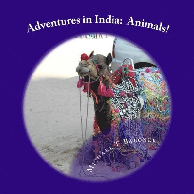 Adventures in India: Animals 1