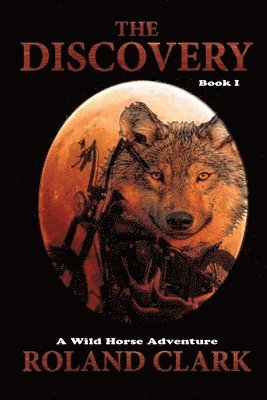 The Discovery: A Wild Horse Adventure