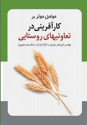 Amir Moez Rashidi, Dr Azita Zand - Effective Factors on Entrepreneurship in Rural Cooperatives, Häftad