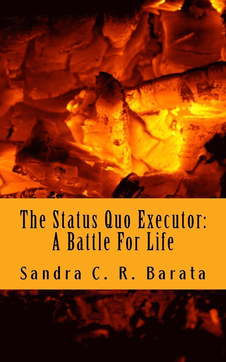 Sandra C R Barata, Sandra C. R. Barata - Status Quo Executor, Häftad