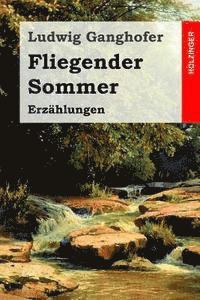 Fliegender Sommer: Erzählungen 1