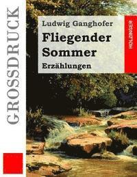 bokomslag Fliegender Sommer (Großdruck): Erzählungen