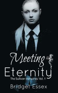 bokomslag Meeting Eternity (The Sullivan Vampires, Volume 1: Books 1-3)