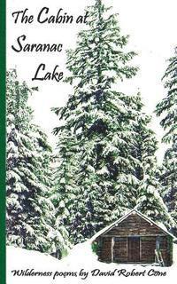 David Robert Cone - The Cabin at Saranac Lake: Wilderness Poems, Häftad