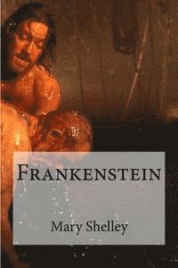 bokomslag Frankenstein