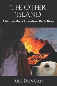 bokomslag The Other Island: A Morgan Koda Adventure, Book Three
