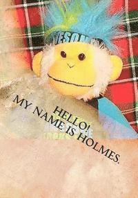 bokomslag Hello! My Name is Holmes