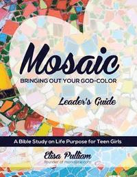 bokomslag Mosaic Leader's Guide: Bringing Out Your God-Color