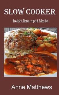 bokomslag Slow Cooker Recipes: Breakfast, dinner & Paleo diet