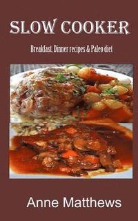 bokomslag Slow Cooker Recipes: Breakfast, dinner & Paleo diet