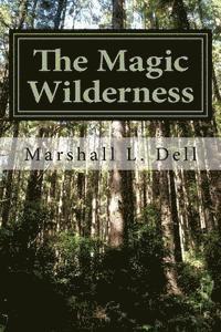 bokomslag The Magic Wilderness