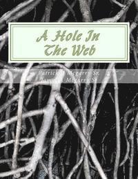 bokomslag A Hole In The Web: From the mind of Visionary