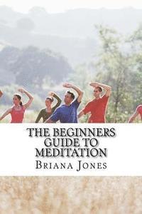 bokomslag The Beginners Guide to Meditation