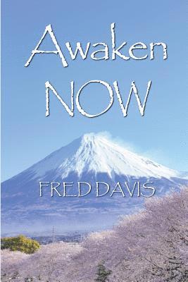 Awaken NOW: The Living Method of Spiritual Awakening 1