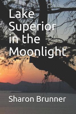 Lake Superior in the Moonlight 1