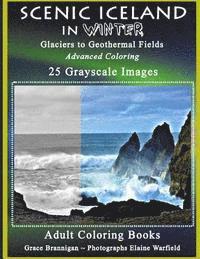 Scenic Iceland in Winter: Glaciers to Geothermal Fields: Advanced Coloring 25 Grayscale Images 1