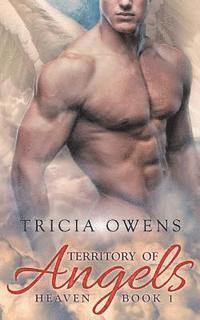 Tricia Owens - Territory of Angels (A: R Heaven 1), Häftad