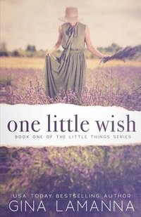 bokomslag One Little Wish: a romantic suspense novel