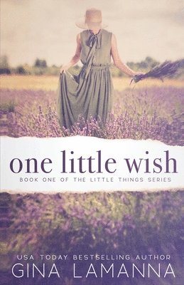 One Little Wish: a romantic suspense novel 1