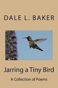bokomslag Jarring a Tiny Bird: A Collection of Poems