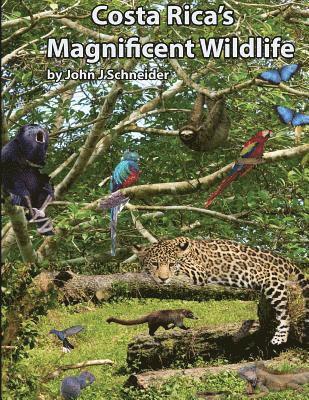 John J. Schneider - Costa Rica's Magnificent Wildlife, Häftad
