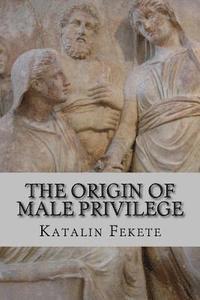 bokomslag The Origin of Male Privilege