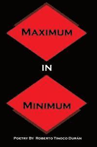 bokomslag Maximum In Minimum