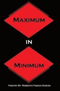 bokomslag Maximum In Minimum