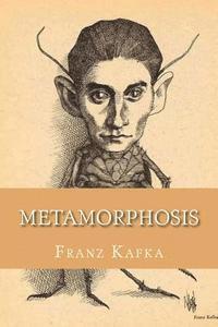 bokomslag Metamorphosis (English Edition)