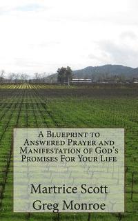 bokomslag A Blueprint to Answered Prayer and Manifestation of God's Promises For Your Life