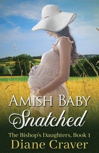 bokomslag Amish Baby Snatched