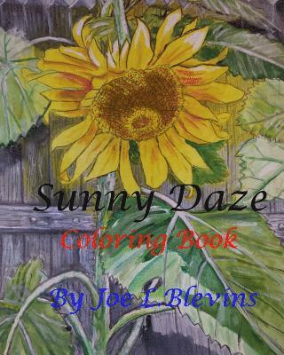 Joe L. Blevins - Sunny Daze Coloring Book: A Fun Coloring Book for Kids and Adults, Häftad