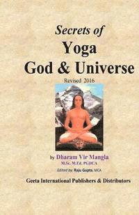 bokomslag Secrets of Yoga God & Universe