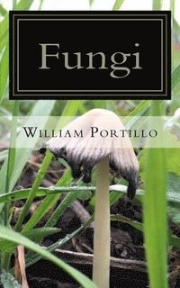 bokomslag Fungi