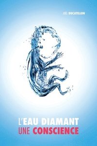 bokomslag L'Eau Diamant: Une Conscience
