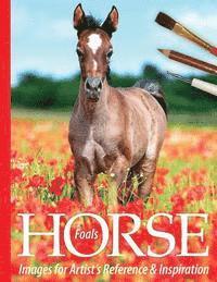 Foals: Horse Images for Artist's Reference and Inspiration 1