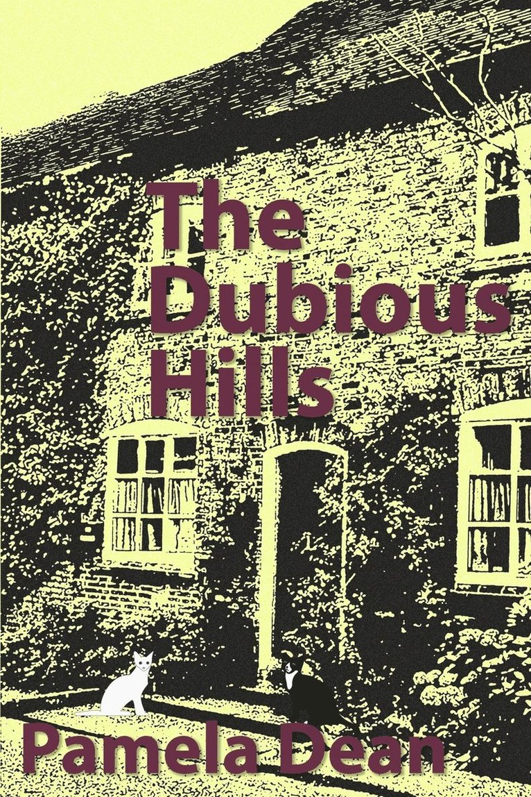 Pamela Dean - Dubious Hills, Häftad