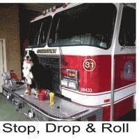 Stop, Drop & Roll 1